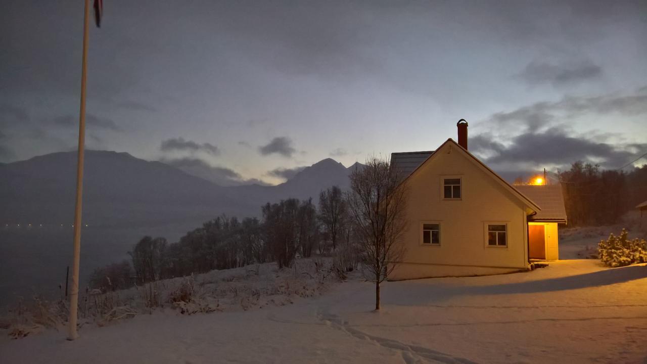Bustad Larseng Экстерьер фото