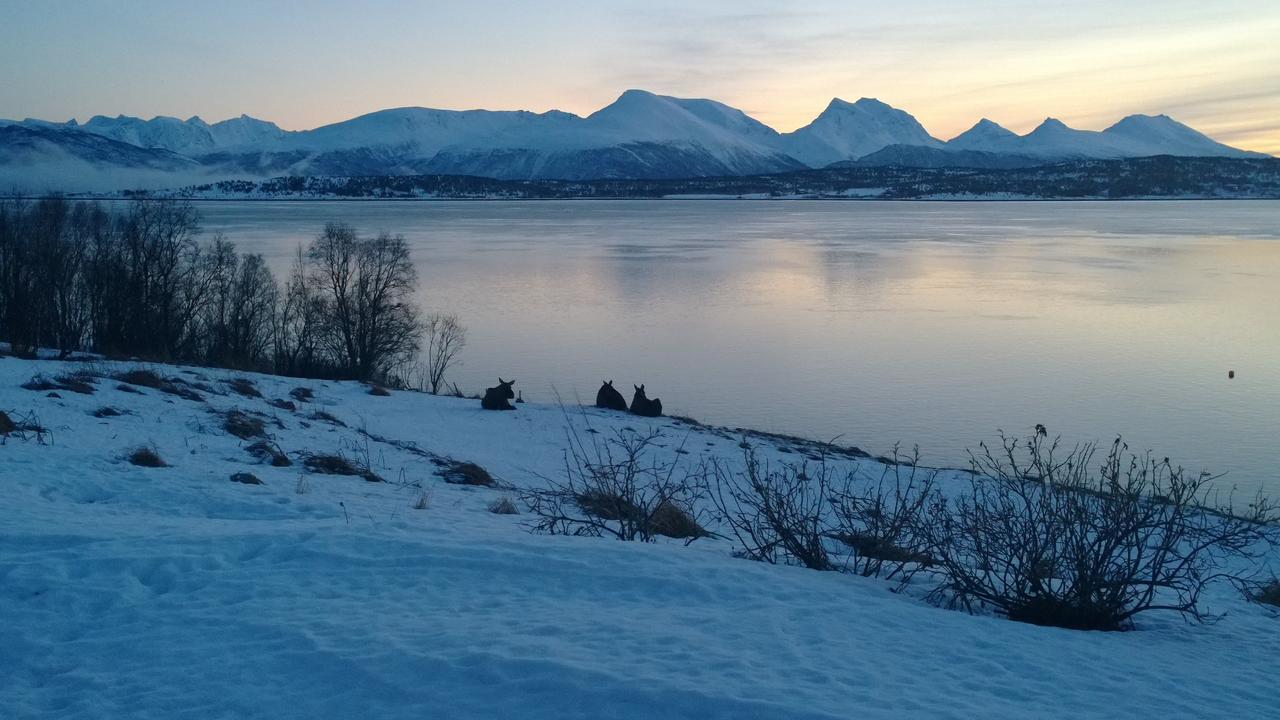 Bustad Larseng Экстерьер фото
